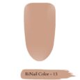 13 RiNail Color