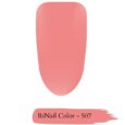 507 RiNail Color