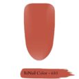 610 RiNail Color