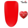 1 Tertio Color