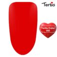 10 Tertio Color