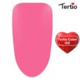 13 Tertio Color