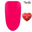 15 Tertio Color