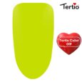 19 Tertio Color