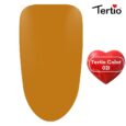 21 Tertio Color