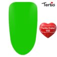 22 Tertio Color