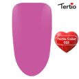 25 Tertio Color