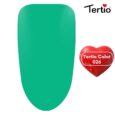 26 Tertio Color