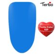 29 Tertio Color