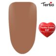 37 Tertio Color