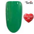 59 Tertio Color