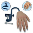 DISPLAY HAND SILICON