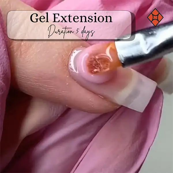 Gel-Extension