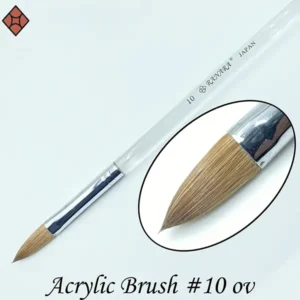 Acrylic Brush #10 ov