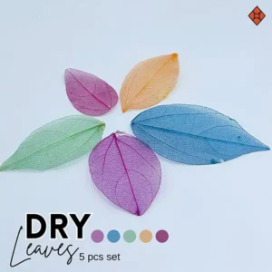 Dry Leaves