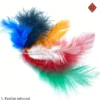 Feathers